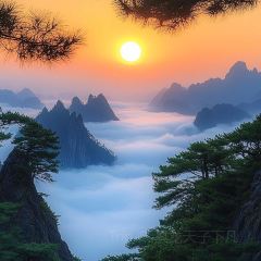 秀嫂挞粿 User Photo