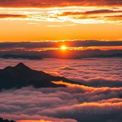 荣生萝卜汤饭店 User Photo