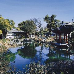 大井巷 User Photo