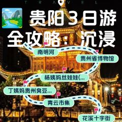 DING AUNT User Photo