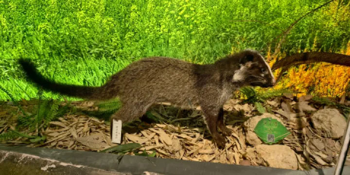 武陵山（湖北）野生動植物標本館