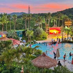 大燚果木燒鵝·明爐頭牌清遠雞（山湖城店）張用戶圖片