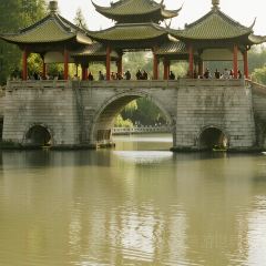 NI HON RYOU RI User Photo