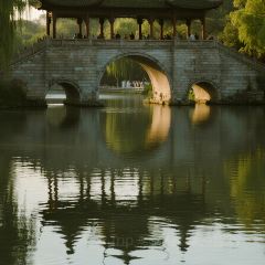 NI HON RYOU RI User Photo