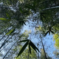 快樂家園•大魚王（南山竹海店）張用戶圖片