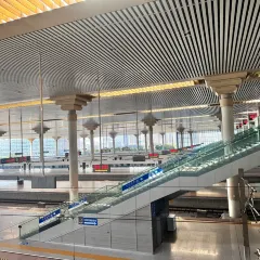 杨老七羊肉粉汤のユーザー投稿写真