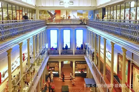 Australian Museum