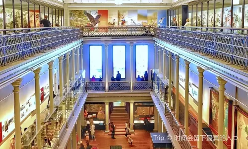 Australian Museum