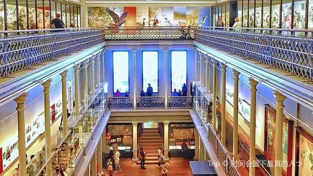 Australian Museum