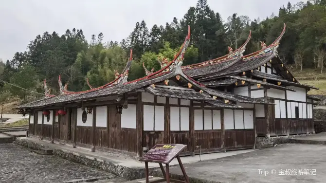 三明大田靈動濟陽