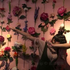 Polaberry User Photo