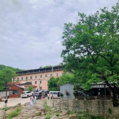 张沟农家乐8号 User Photo