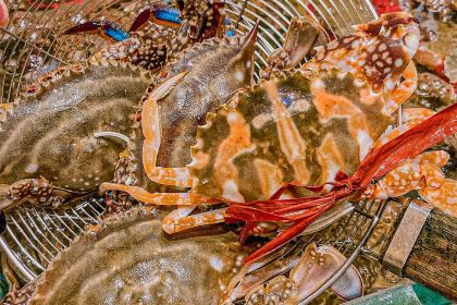 福宁海鲜大排档