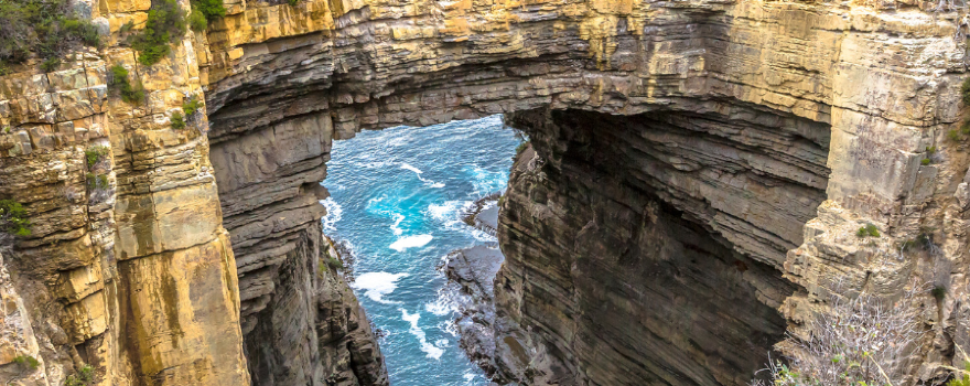 Blow Hole