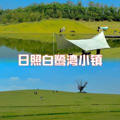 咖啡与树 User Photo