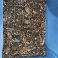 荣村农家乐 User Photo