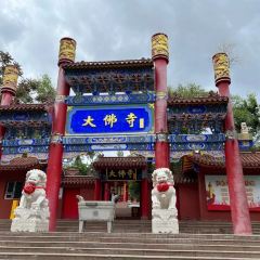 Wei jia yang gao rou ảnh của người dùng