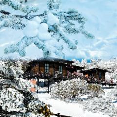 轿子山游雪山庄 User Photo