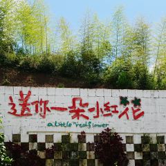 岭边亭·乐百味星空屋 User Photo