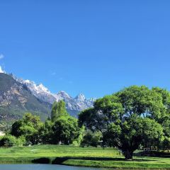 7 sea bar User Photo