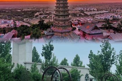 Xuelaowuniurouwanzimianzongdian