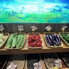 回家吃饭(雕塑瓷厂长虹店) User Photo