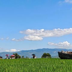 在发呆·lan's浪肆咖啡庄园 User Photo