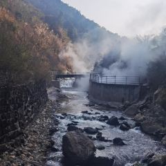 有芬餐館張用戶圖片