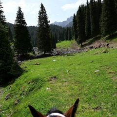 Shagou (miaopude) bishushanzhuang User Photo