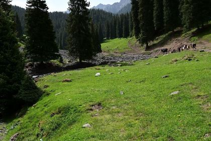 Shagou (miaopude) bishushanzhuang