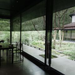 PURPLE MOUNTAIN GARDEN 여행 사진