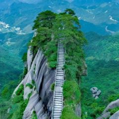 羅家老字型大小特色小吃張用戶圖片