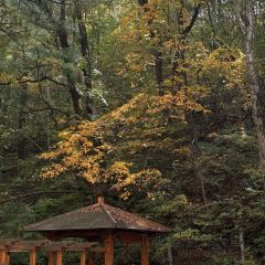 本达人海鲜烧烤(发展店) User Photo