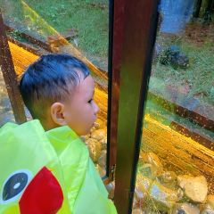 醉彌勒•老家柳樹灣民俗餐廳張用戶圖片