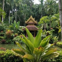 Princess Nan User Photo