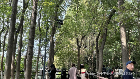 wu zhen xi zha jing qu - bu xing zhan dao