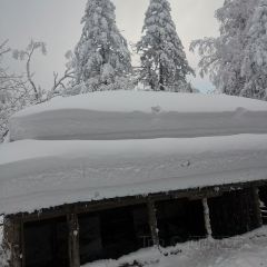 雪乡纳山纳雪酒店·中餐厅 User Photo