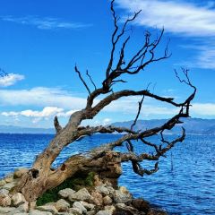 IN MY HEART User Photo