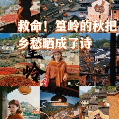 YEXIWANGSHAGUO User Photo