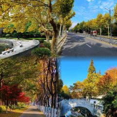 XIONG DILIA User Photo