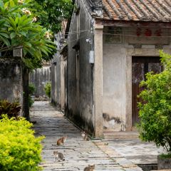 官塘弟少坚牛肉火锅 여행 사진