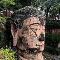 棣爸油炸 User Photo