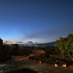 邓氏大薄片 User Photo