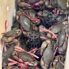 瑞丽活螃蟹(芒市店) User Photo