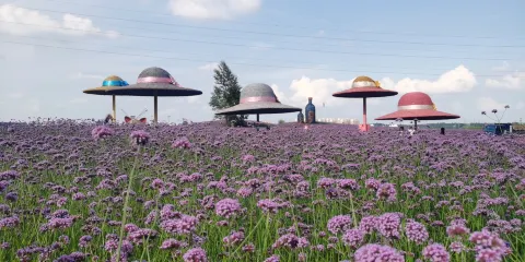 遼源國家礦山濕地公園