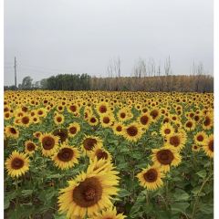 人民公社(神农北路店) User Photo