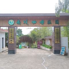 南坑咖啡观赏园 User Photo
