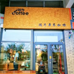 蜗牛单车咖啡(银座购物广场东城店) User Photo