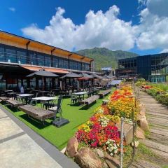 Pino Latte Resort & Cafe張用戶圖片