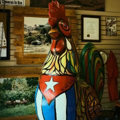 Azucar Ice Cream - Little Havana User Photo